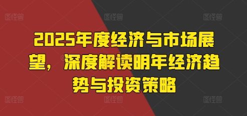 2025年度经济与市场展望，深度解读明年经济趋势与投资策略-副业资源站 | 数域行者