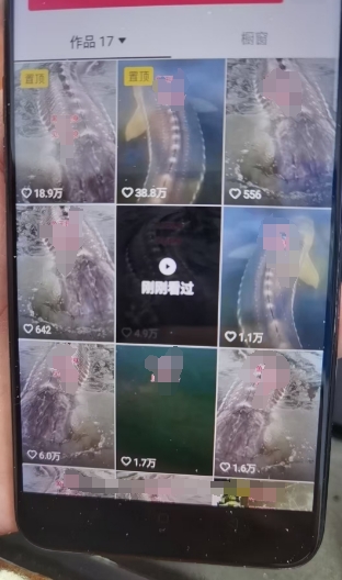 外面卖399的国学佛像原创暴力起号技术，快速起号，7天可达到一个万粉号-副业资源站 | 数域行者