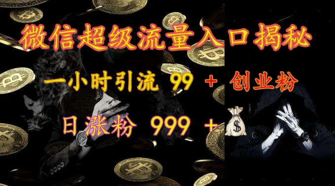 微信超级流量入口揭秘：一小时引流 99 + 创业粉，日涨粉 999 +-副业资源站 | 数域行者