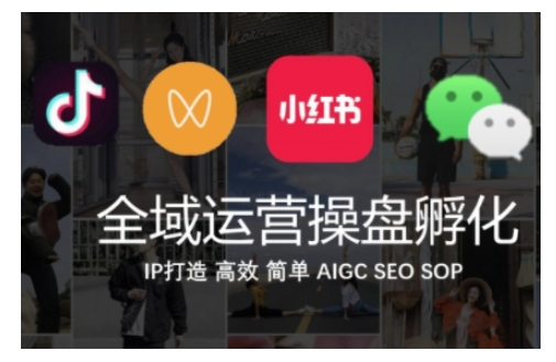 全域运营操盘(抖音+私域+小红书)，IP打造高效简单-副业资源站 | 数域行者