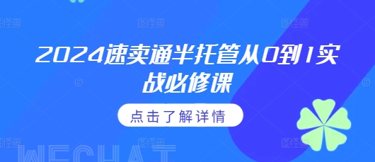 2024速卖通半托管从0到1实战必修课，掌握通投广告打法、熟悉速卖通半托管的政策细节-副业资源站 | 数域行者