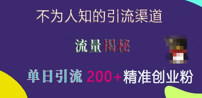 不为人知的引流渠道，流量揭秘，实测单日引流200+精准创业粉【揭秘】-副业资源站 | 数域行者