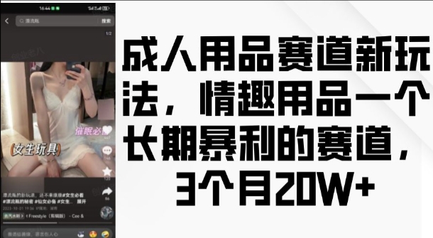 成人用品赛道新玩法，情趣用品一个长期暴利的赛道，3个月收益20个【揭秘】-副业资源站 | 数域行者
