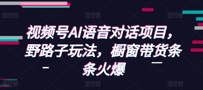 视频号AI语音对话项目，野路子玩法，橱窗带货条条火爆-副业资源站 | 数域行者