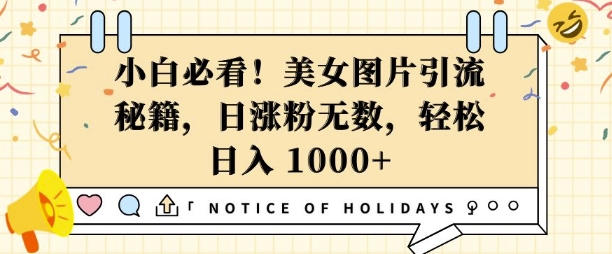小白必看，美女图片引流秘籍，日涨粉无数，轻松日入几张【揭秘】-副业资源站 | 数域行者