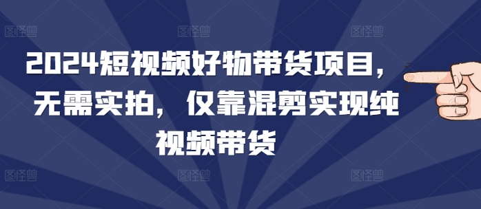 2024短视频好物带货项目，无需实拍，仅靠混剪实现纯视频带货-副业资源站 | 数域行者