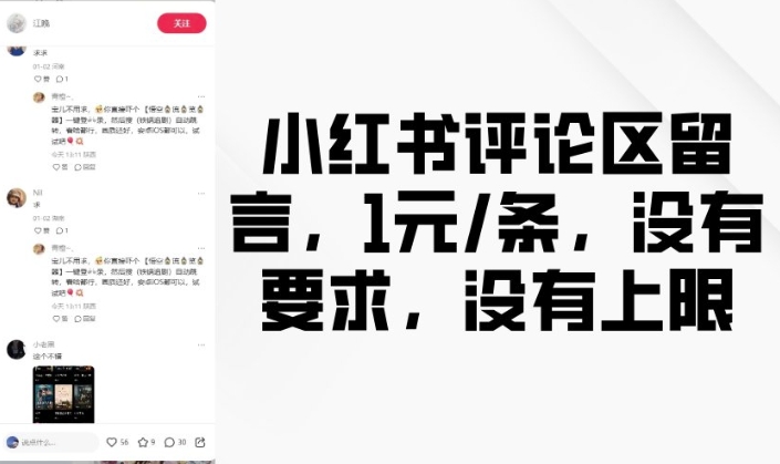 小红书评论区留言，1元条，没有要求，没有上限-副业资源站 | 数域行者