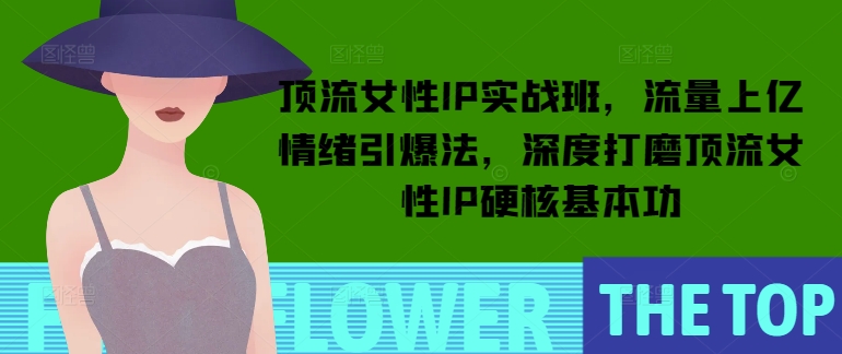 顶流女性IP实战班，流量上亿情绪引爆法，深度打磨顶流女性IP硬核基本功-副业资源站 | 数域行者