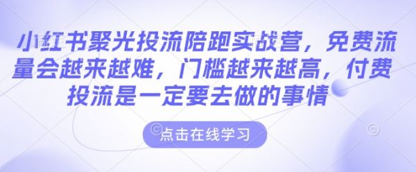 小红书聚光投流陪跑实战营，免费流量会越来越难，门槛越来越高，付费投流是一定要去做的事情-副业资源站 | 数域行者