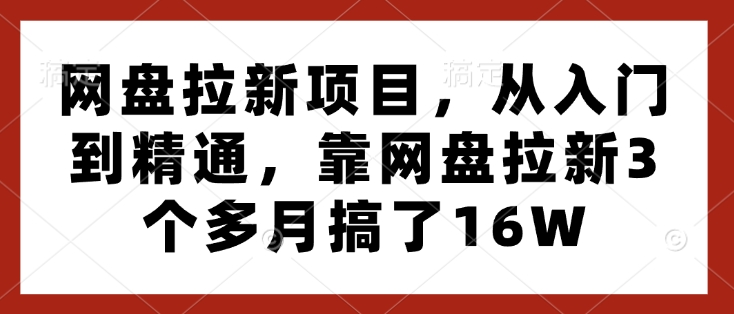 网盘拉新项目，从入门到精通，靠网盘拉新3个多月搞了16W-副业资源站 | 数域行者