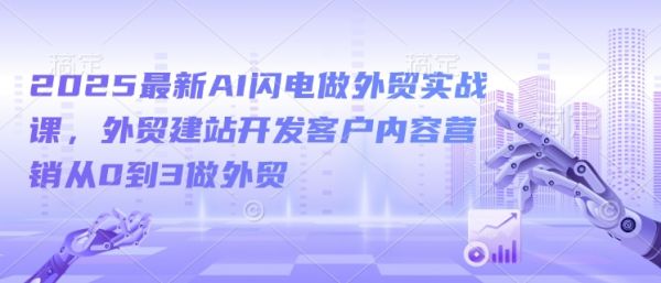 2025最新AI闪电做外贸实战课，外贸建站开发客户内容营销从0到3做外贸-副业资源站 | 数域行者