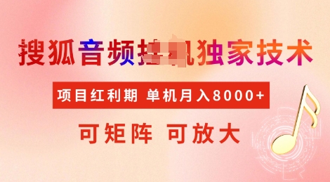 全网首发搜狐音频挂JI独家技术，项目红利期，可矩阵可放大，稳定月入8k【揭秘】-副业资源站 | 数域行者
