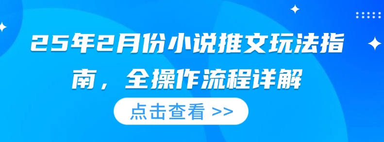 25年2月份小说推文玩法指南，全操作流程详解-副业资源站 | 数域行者