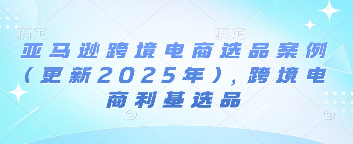 亚马逊跨境电商选品案例(更新2025年2月)，跨境电商利基选品-副业资源站 | 数域行者