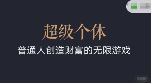 超级个体2024-2025翻盘指南，普通人创造财富的无限游戏-副业资源站 | 数域行者