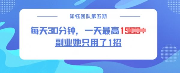 副业她只用了1招，每天30分钟，无脑二创，一天最高1.5k-副业资源站 | 数域行者