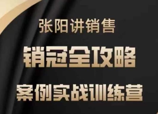 张阳讲销售实战训练营，​案例实战训练，销冠全攻略-副业资源站 | 数域行者