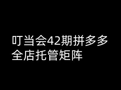 叮当会拼多多打爆班原创高阶技术第42期，拼多多全店托管矩阵-副业资源站 | 数域行者