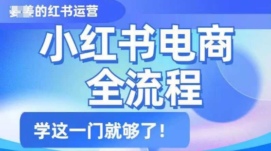 小红书电商全流程，精简易懂，从入门到精通，学这一门就够了-副业资源站 | 数域行者