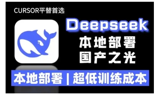 2025年deepseek R1 大型模型本地安装部署(文件+教程)本地部署，超低训练成本-副业资源站 | 数域行者