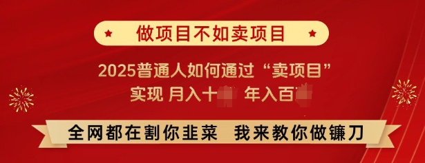 必看，做项目不如卖项目，2025普通人如何通过“卖项目”实现月入十个，年入百个-副业资源站 | 数域行者
