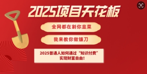 2025项目天花板普通人如何通过知识付费，实现财F自由【揭秘】-副业资源站 | 数域行者