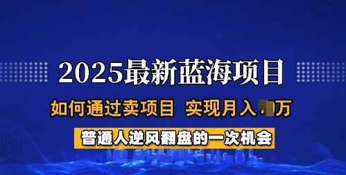 2025蓝海项目，普通人如何通过卖项目，实现月入过W，全过程【揭秘】-副业资源站 | 数域行者