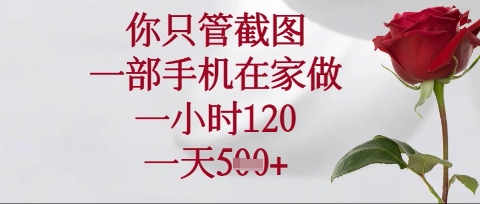 你只管截图，一部手机在家操作，一小时120.一天5张【揭秘】-副业资源站 | 数域行者