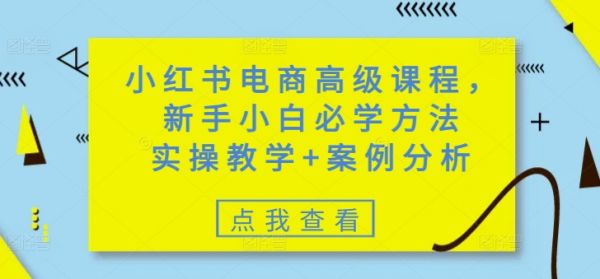 小红书电商高级课程，新手小白必学方法，实操教学+案例分析-副业资源站 | 数域行者