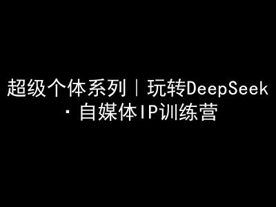 超级个体系列，玩转DeepSeek·自媒体IP训练营，deepseek教程-副业资源站 | 数域行者