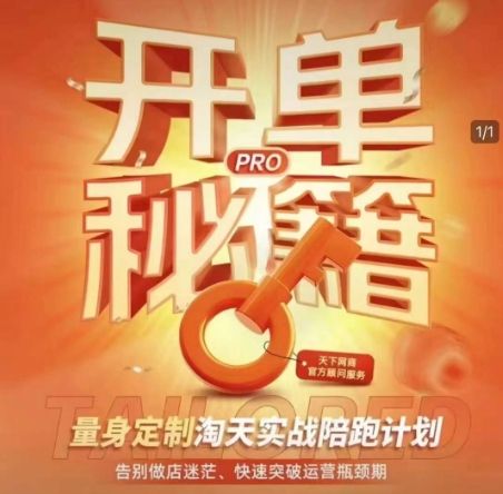 淘宝开单秘籍PRO，量身定制淘天实战陪跑计划，告别做店迷茫、快速突破运营瓶颈期（更新）-副业资源站 | 数域行者