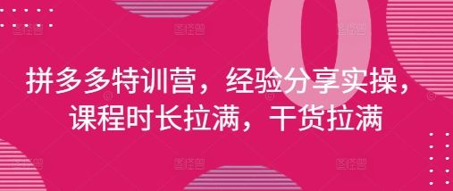拼多多特训营，经验分享实操，课程时长拉满，干货拉满(更新25年4月)-副业资源站 | 数域行者
