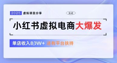 小红书虚拟电商项目，平台大力免费流量扶持，低门槛1拖3玩法-副业资源站 | 数域行者
